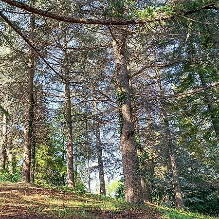 Cozy In With Kitchen Ferienhaus