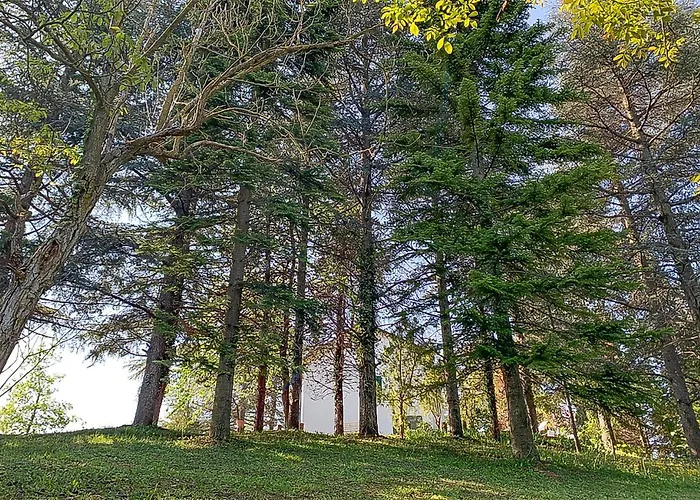 Holiday home Cozy In With Kitchen *